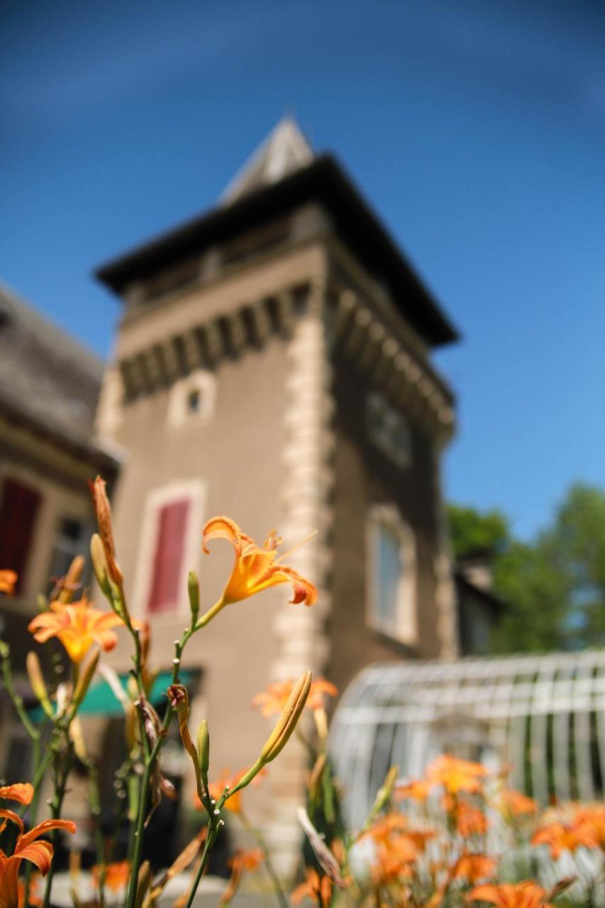 Chambres D'Hotes Chateau De Viviez Экстерьер фото